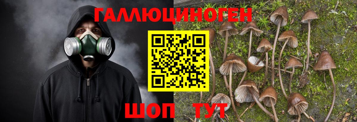 Псилоцибиновые грибы GOLDEN TEACHER  Галлюциногенные грибы мухоморы  Коряжма  цена   Вход с VPN 